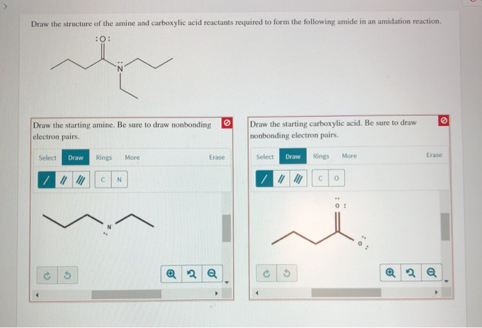 Solved Draw The Structure Of The Amine And Carboxylic Acid Chegg