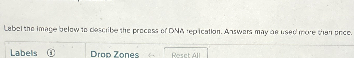 Solved Label The Image Below To Describe The Process Of DNA Chegg