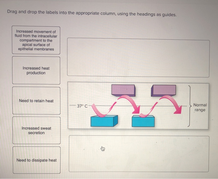 Solved Drag And Drop The Labels Into The Appropriate Column Chegg