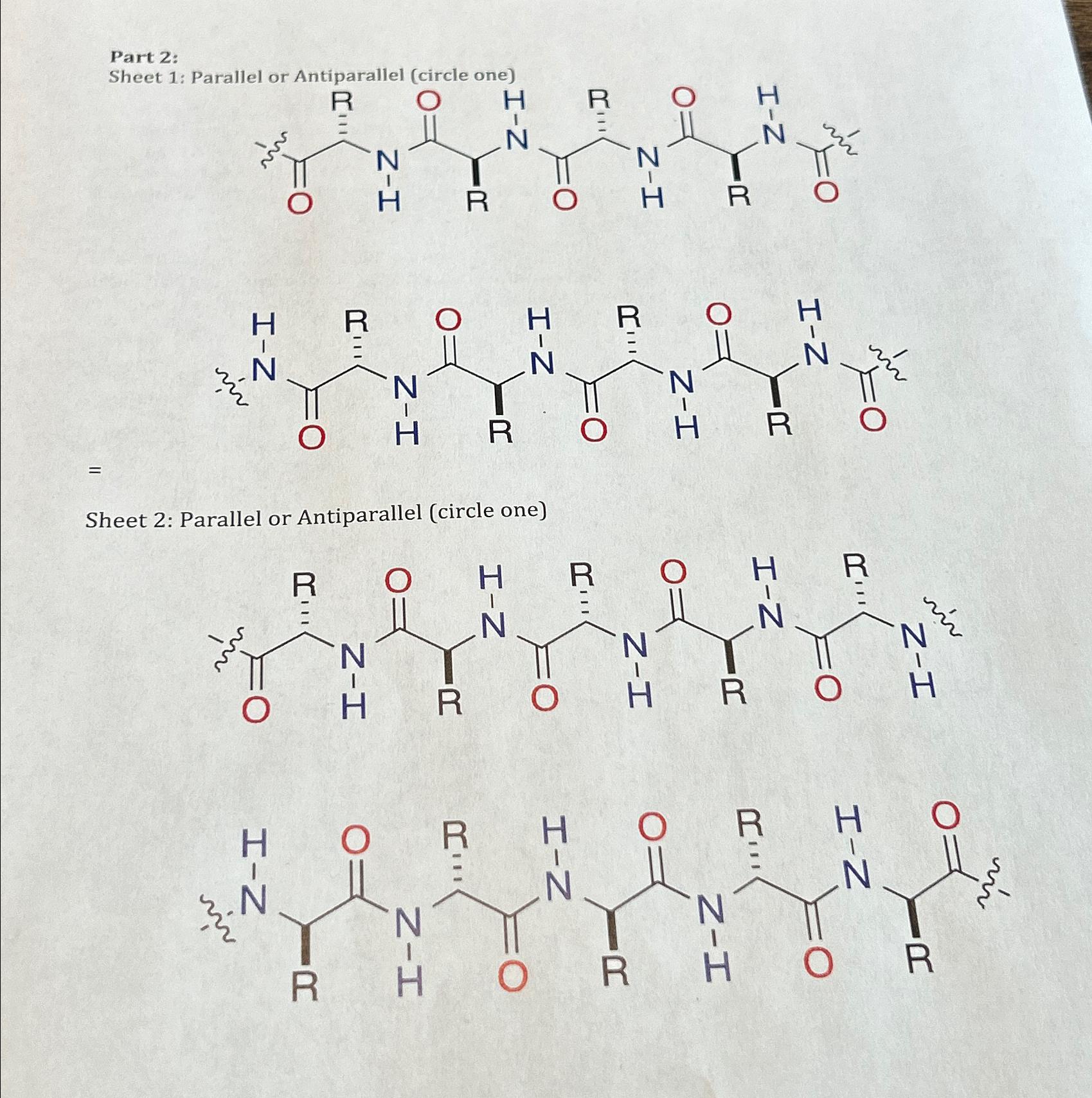 Solved Basic Concepts Worksheet Description Peptides Are Chegg