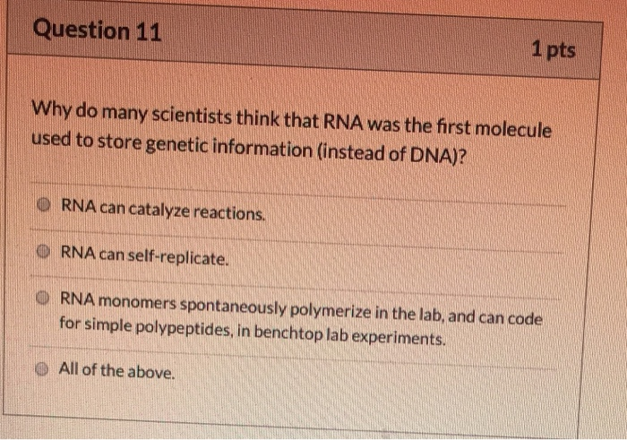 Solved Question 11 1 Pts Why Do Many Scientists Think That Chegg