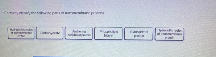 Solved 5 Correctly Identify The Following Parts Of Chegg