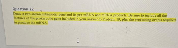 Solved Question 22 Draw A Two Intron Cukaryotic Gene And Its Chegg