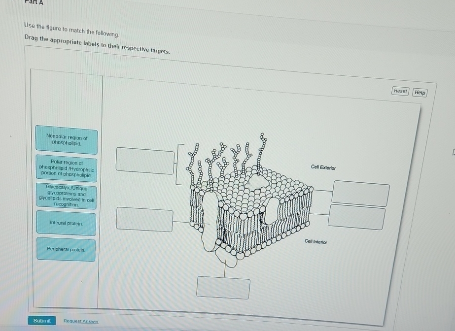 Solved Use The Figure To Match The Following Drag The Chegg