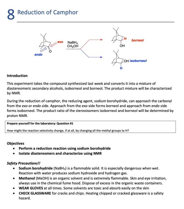 Solved Reduction Of Camphor Introduction This Experiment Chegg