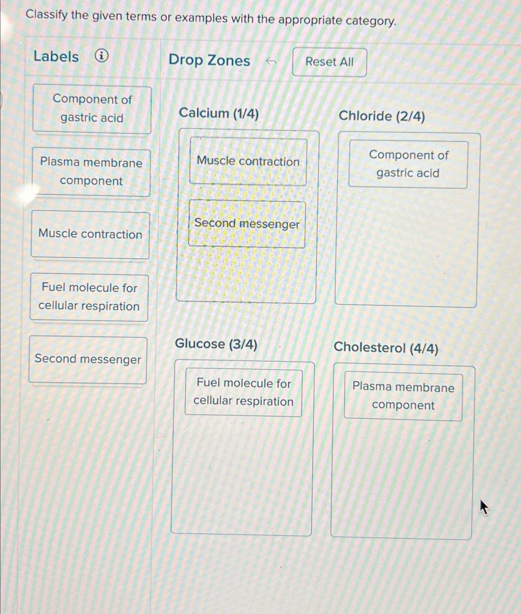 Solved Classify The Given Terms Or Examples With The Chegg