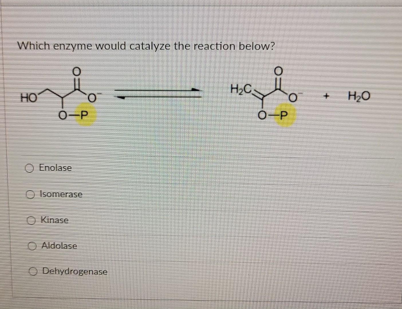 Solved Which Enzyme Would Catalyze The Reaction Below H2O Chegg