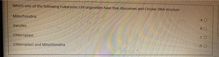 Solved Which One Of The Following Eukaryotic Cell Organelles Chegg