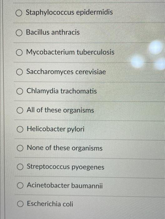 Solved Staphylococcus Epidermidis O Bacillus Anthracis O Chegg