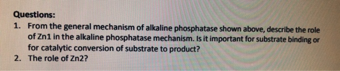 Solved Part Ii Mechanism Of Alkaline Phosphatase As Chegg