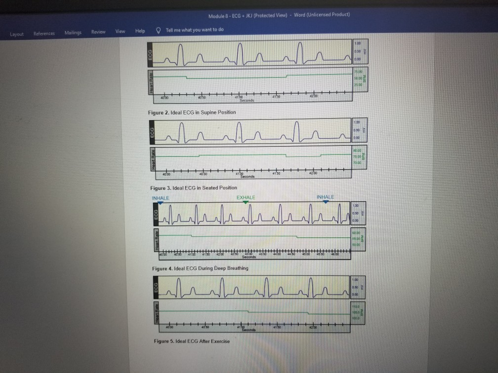 Solved Ferences Mailings Review View Help Tell Me What You Chegg