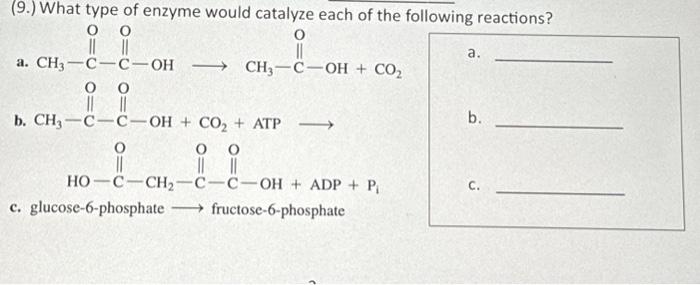 Solved 9 What Type Of Enzyme Would Catalyze Each Of The Chegg