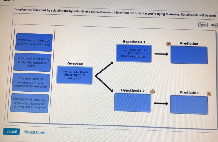 Solved Complete The Flow Chart By Selecting The Hypothesis Chegg