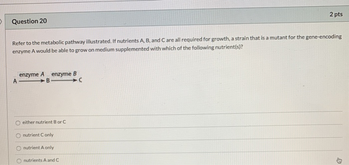 Solved Question 20 2 Pts Refer To The Metabolic Pathway Chegg