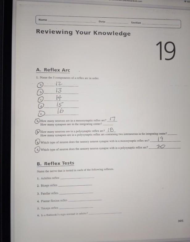 Solved Name Date Section Reviewing Your Knowledge A Chegg