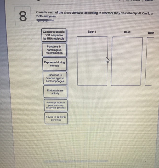 Solved Classify Each Of The Characteristics According To Chegg