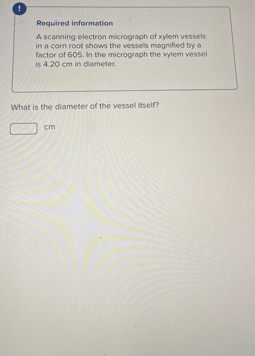 Solved Required Information A Scanning Electron Micrograph Chegg