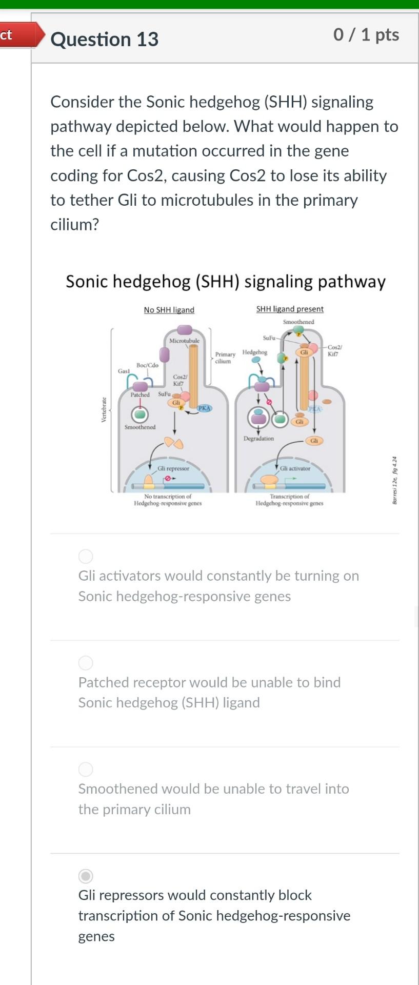 Solved Consider The Sonic Hedgehog Shh Signaling Pathway Chegg