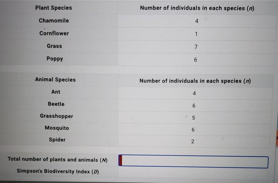 Plant Species Number Of Individuals In Each Species Chegg