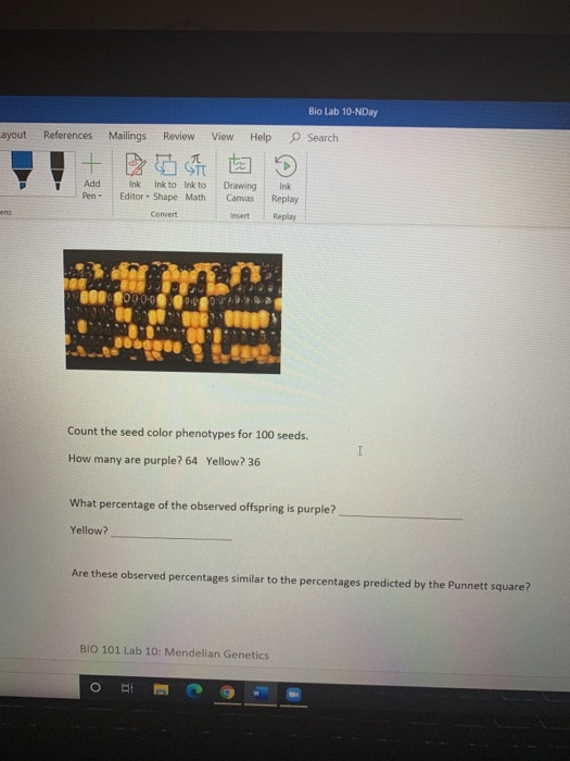 Solved Bio Lab 10 NDay Eferences Mailings Review View Help Chegg