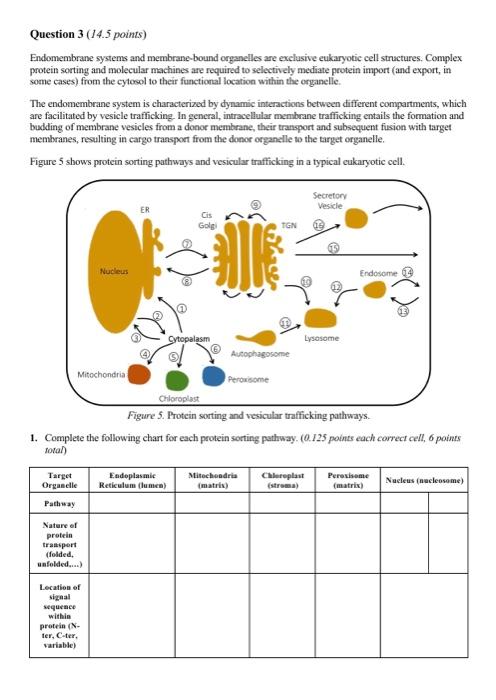 Question Points Endomembrane Systems And Chegg