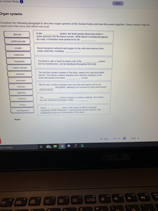 Solved E Human Body Saved Drgan Systems Complete The Chegg