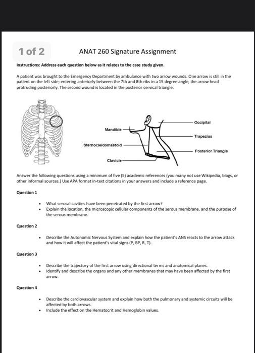 Solved Of Anat Signature Assignment Instructions Chegg