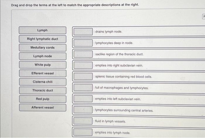 Solved Drag And Drop The Terms At The Left To Match The Chegg