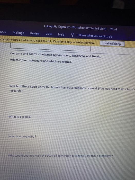 Solved Eukaryotic Organisms Worksheet Protected View Chegg
