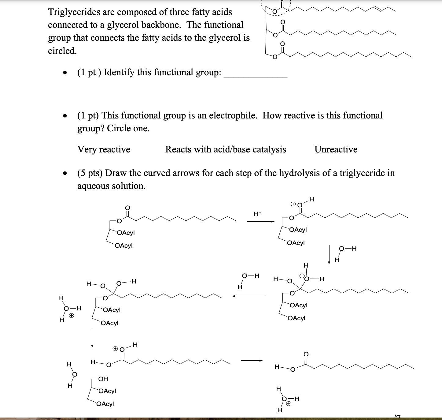 Solved Triglycerides Are Composed Of Three Fatty Chegg