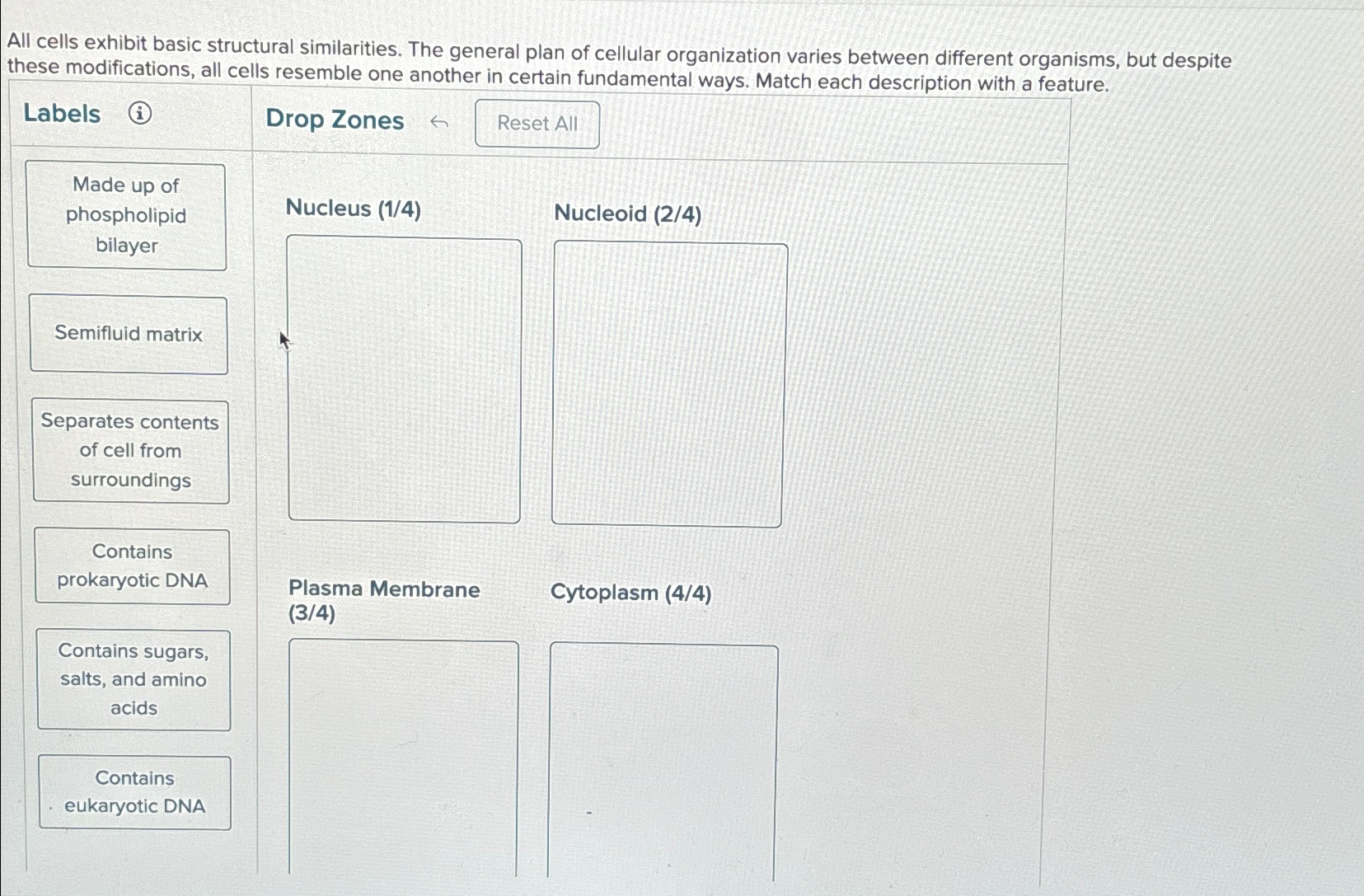 Solved All Cells Exhibit Basic Structural Similarities The Chegg