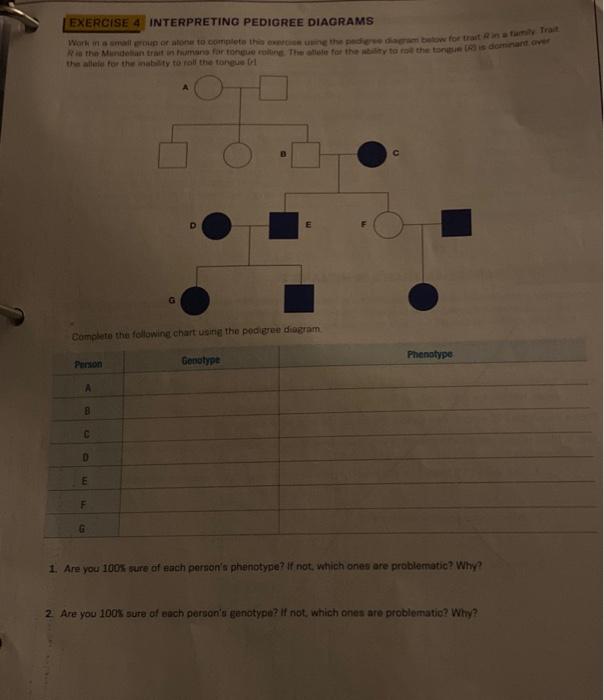 Exercise Interpreting Pedigree Diagrams The Chegg