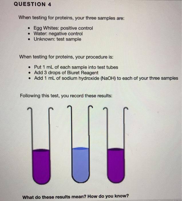 Solved QUESTION 4 When Testing For Proteins Your Three Chegg