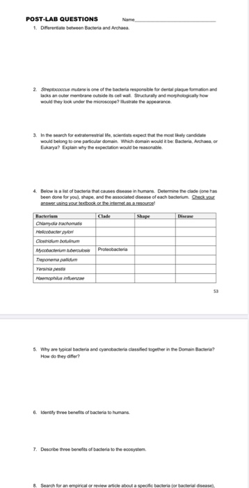 Solved POST LAB QUESTIONS 1 Differentiate Between Bacteria Chegg