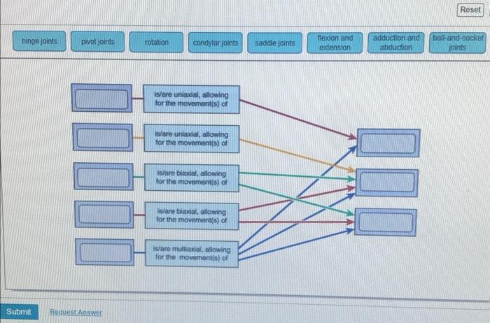 Solved Complete The Concept Map To Name And Describe The Chegg