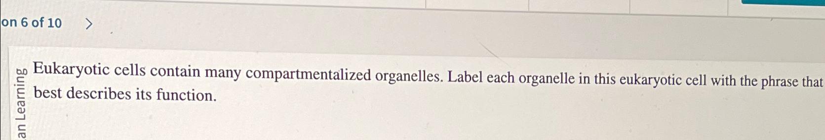 Solved On Of Eukaryotic Cells Contain Many Chegg