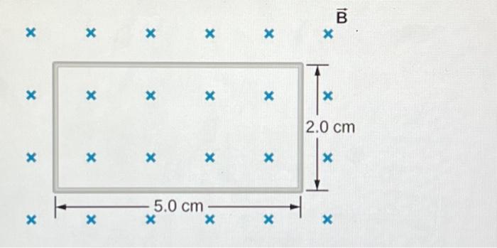 Solved The Accompanying Figure Shows A Single Turn Chegg