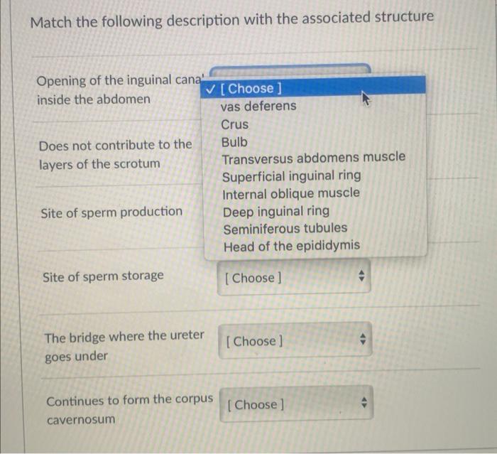 Solved Match The Following Description With The Associated Chegg