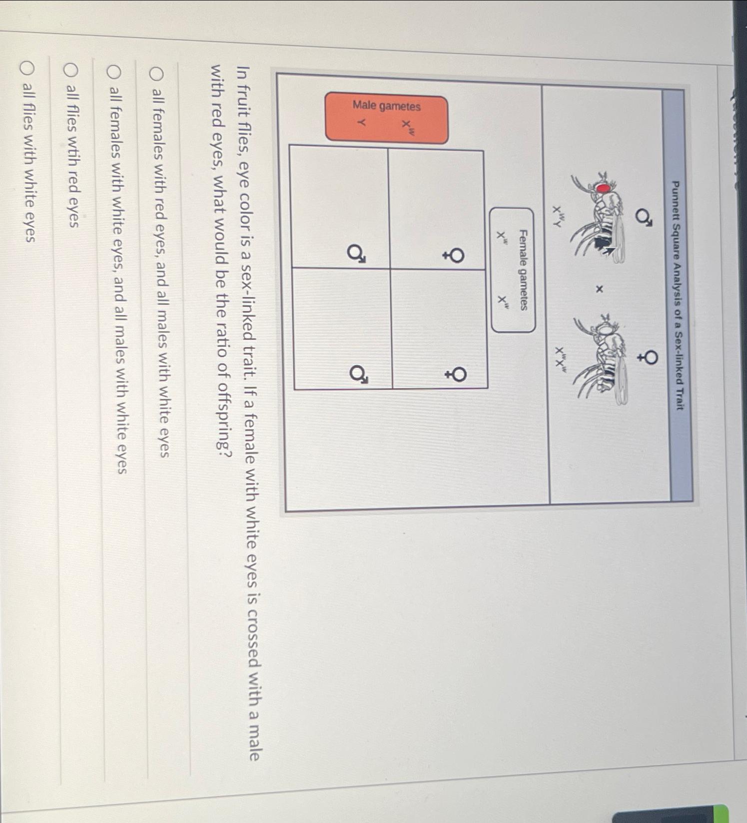 Solved In Fruit Flies Eye Color Is A Sex Linked Trait If A Chegg