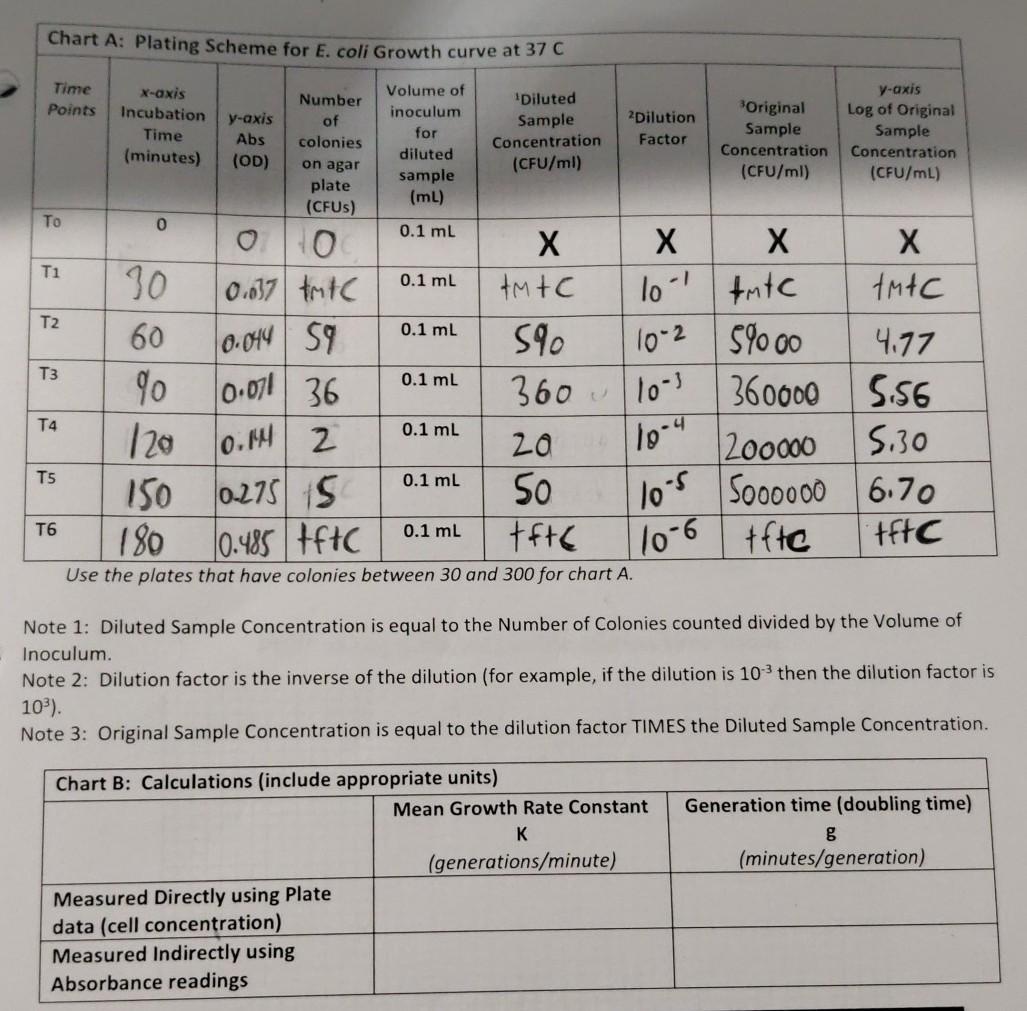 Chart A Plating Scheme For E Coli Growth Curve At Chegg