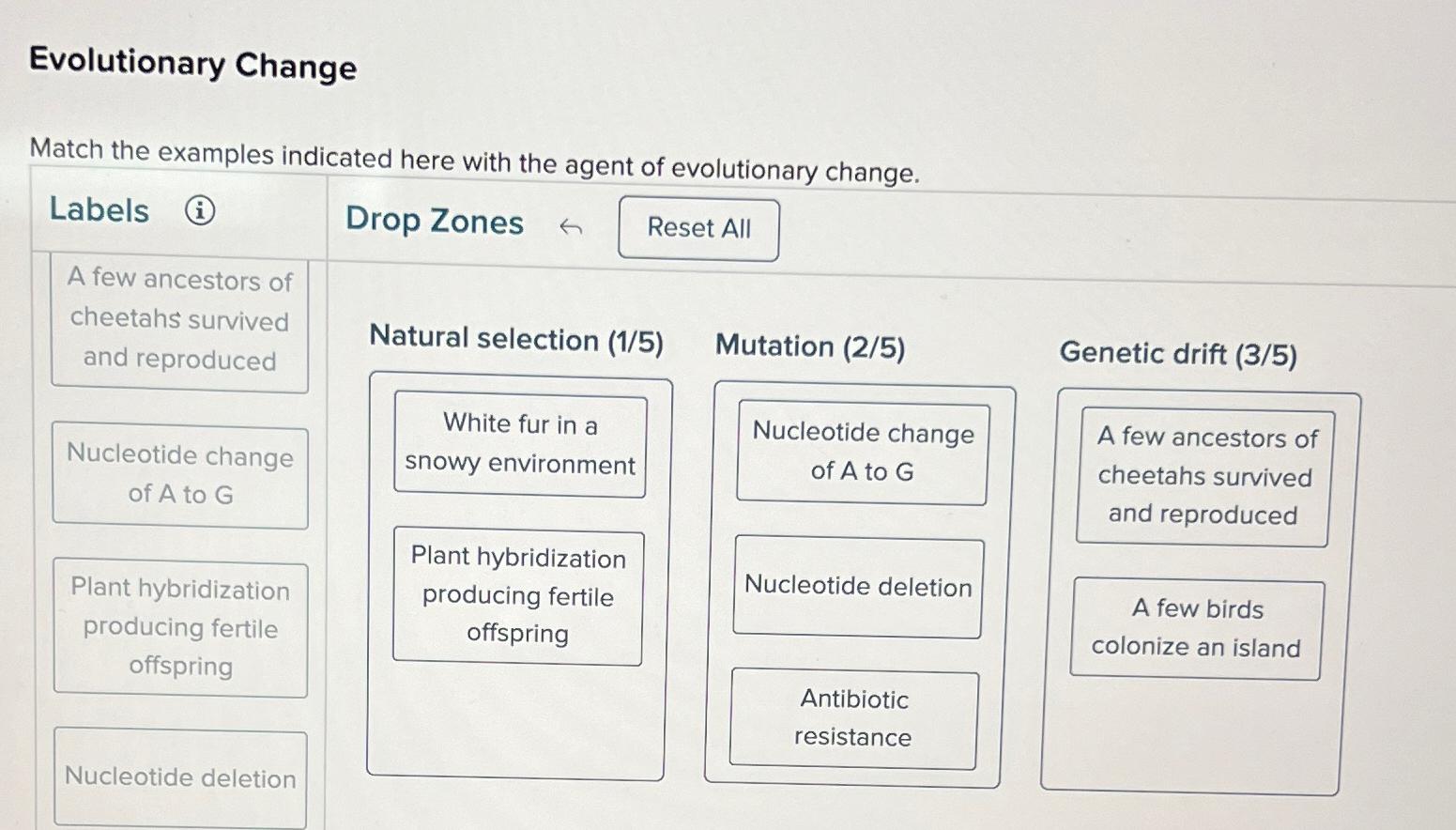 Solved Evolutionary Changematch The Examples Indicated Here Chegg