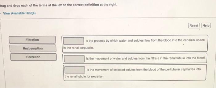 Solved Drag And Drop Each Of The Terms At The Left To The Chegg