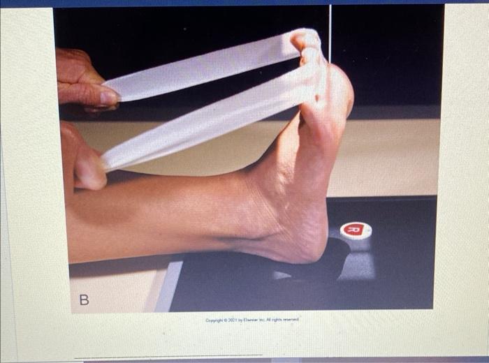 Identify And Label The Radiographic Positions Below Chegg