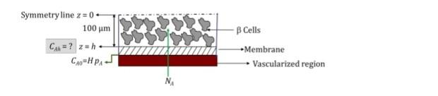 Solved In An Implantable Device See Schematic Below Chegg