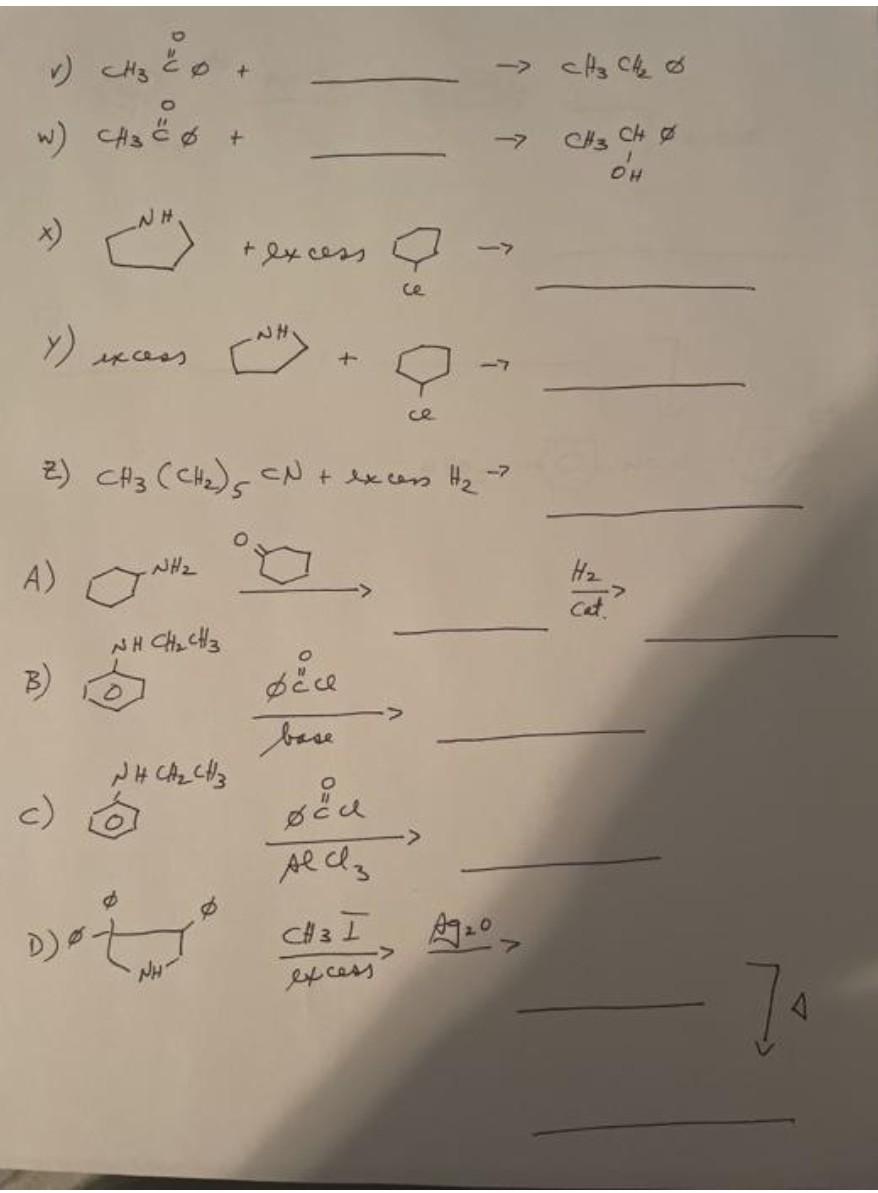 Solved CH₂ CH 0 C w CH3 6 و CH excess و ce N Chegg