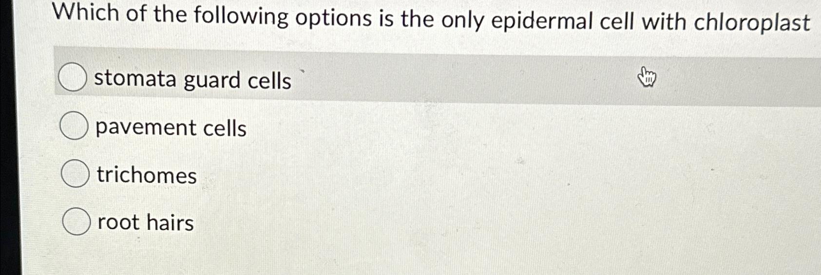 Solved Which Of The Following Options Is The Only Epidermal Chegg