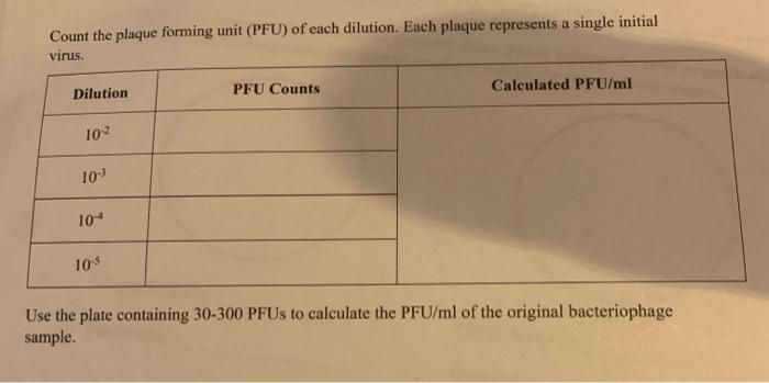 Solved Count The Plaque Forming Unit Pfu Of Each Dilution Chegg