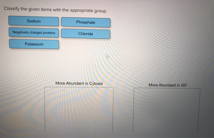 Solved Classify The Given Items With The Appropriate Group Chegg