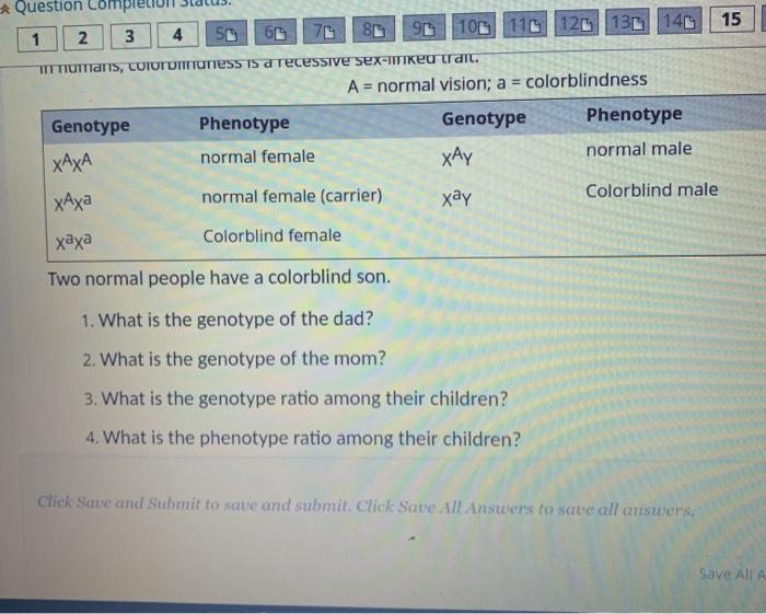 Solved In Humans Colorblindness Is A Recessive Sex Linked Chegg