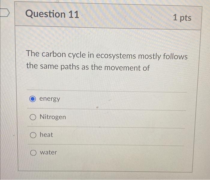 Solved In Stream Ecosystems Rates Of Leaf Breakdown A Chegg